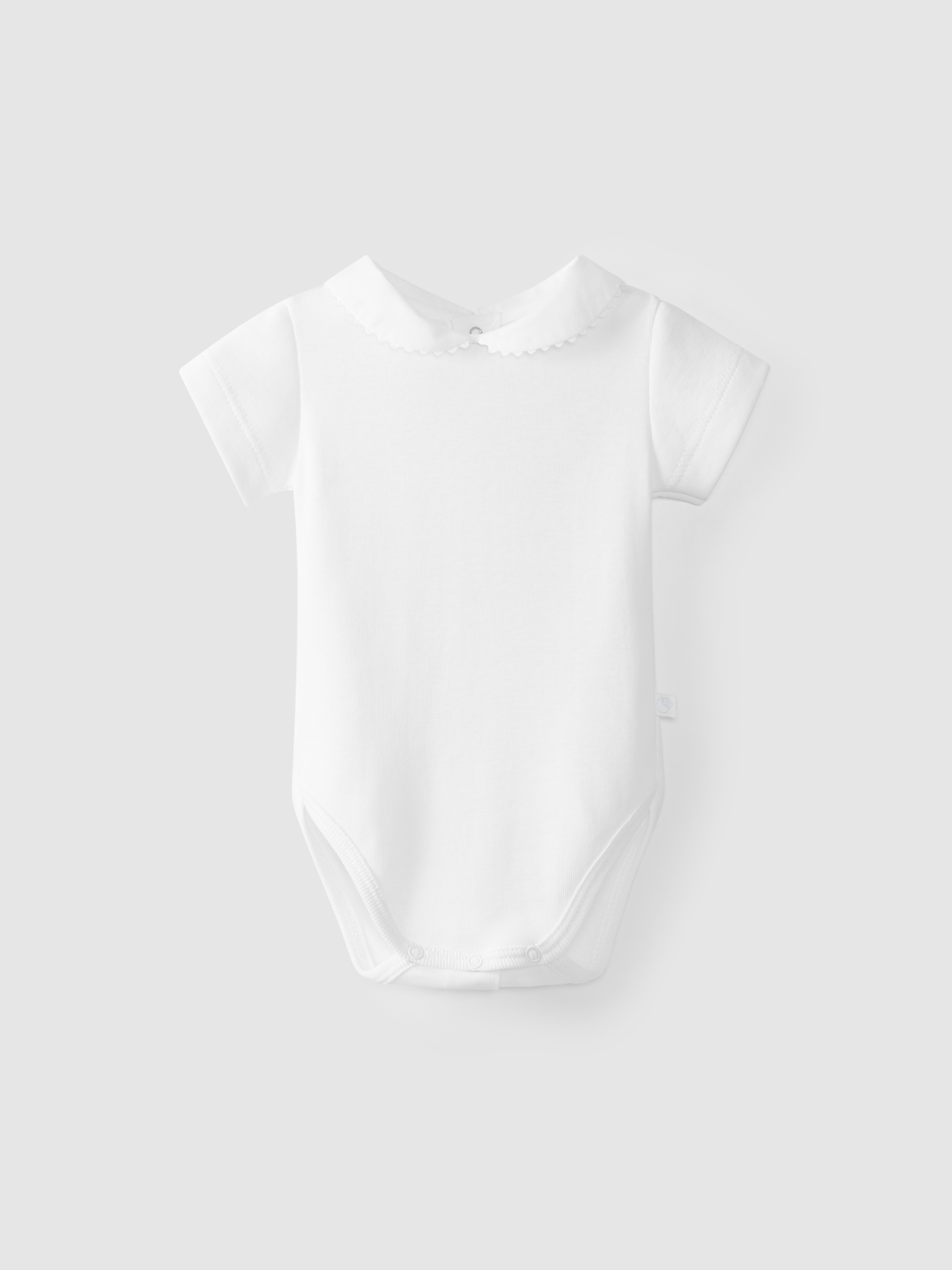 Body cuello Peter Pan manga corta