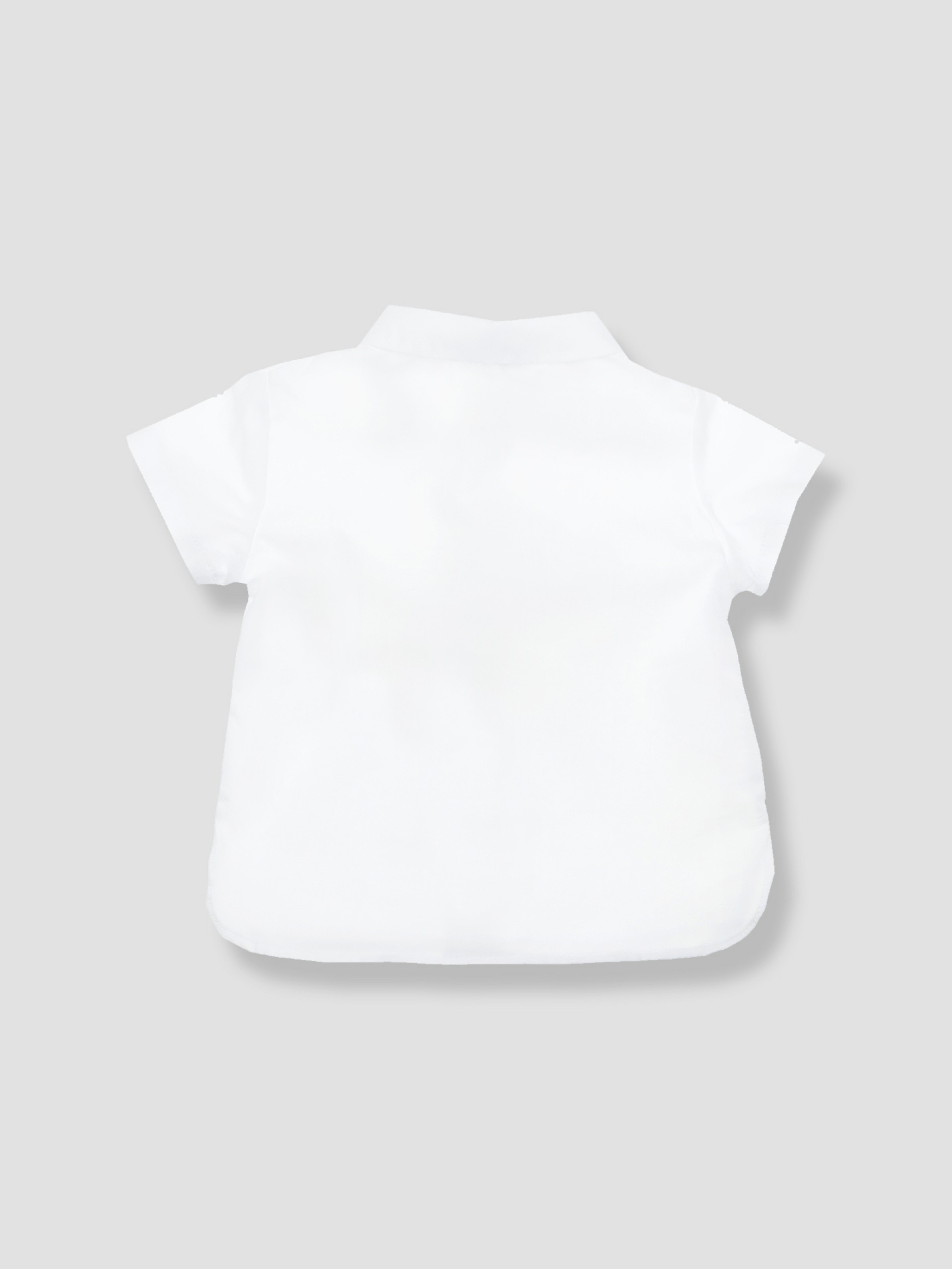 Short sleev shirt and pointed collar