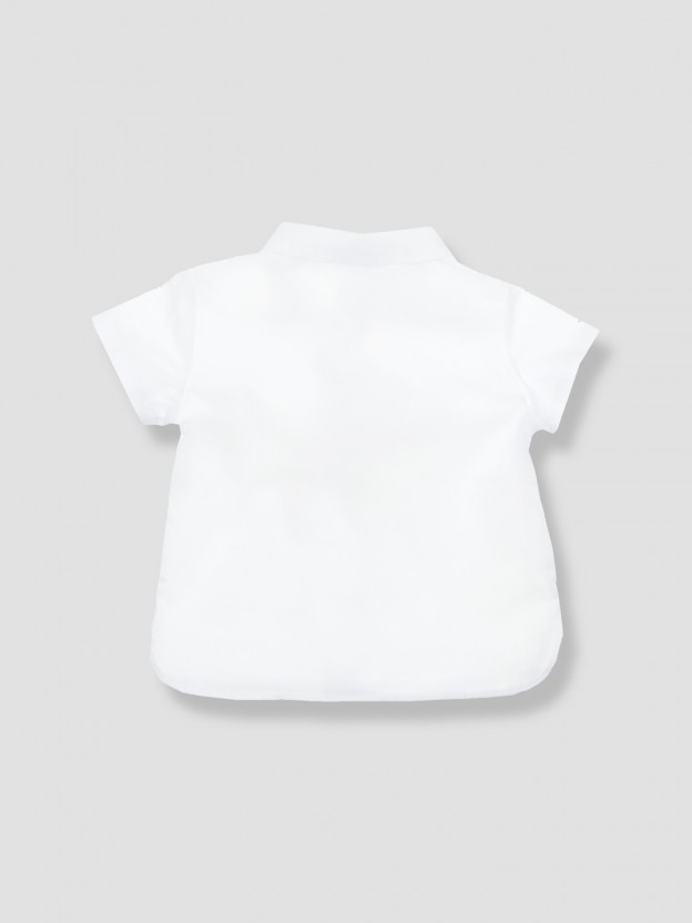 Short sleev shirt and pointed collar