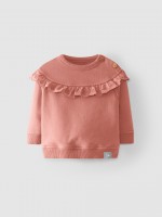 Terracota