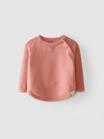 Terracotta