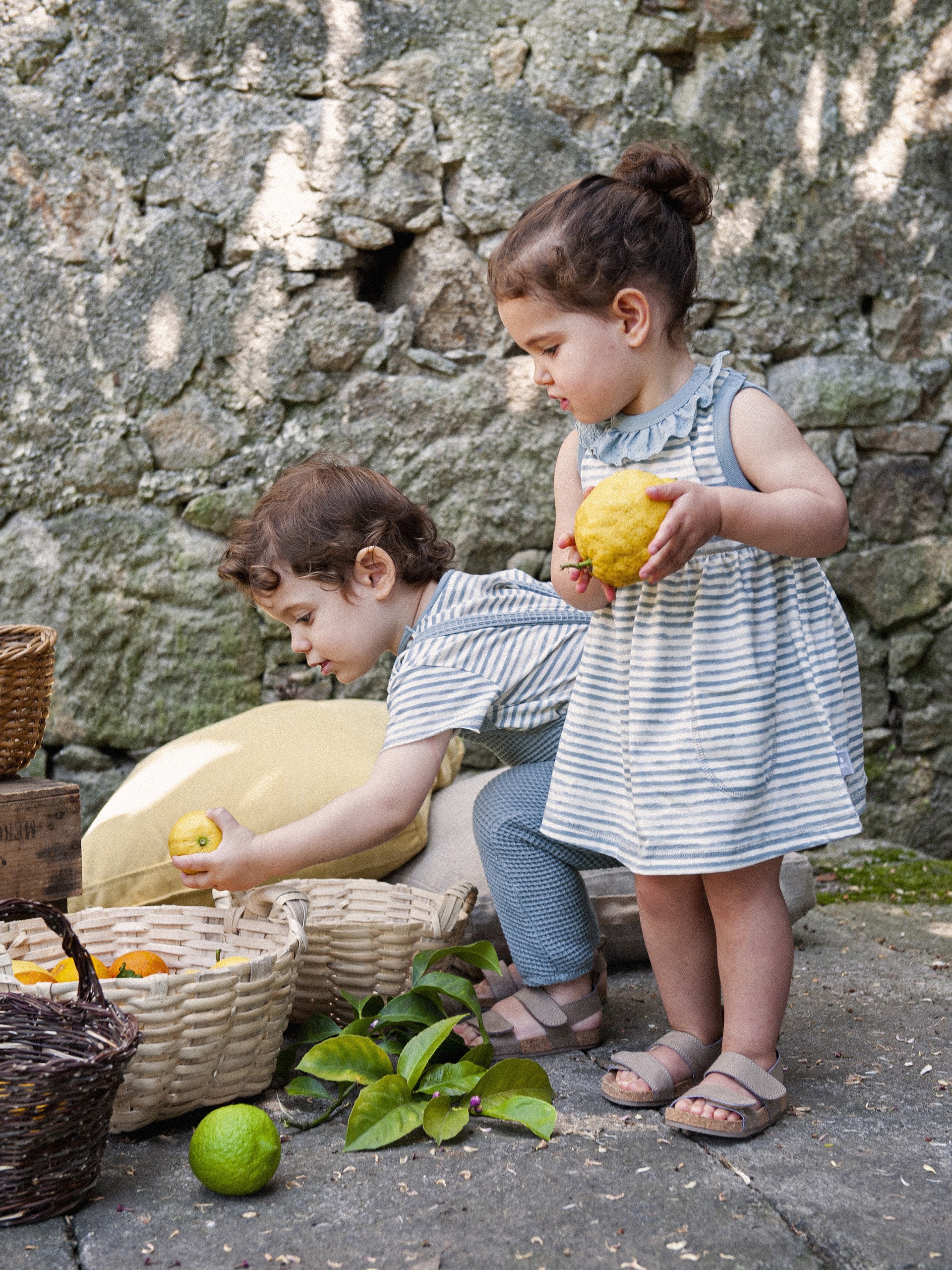 Dress stripes with embroidery collar