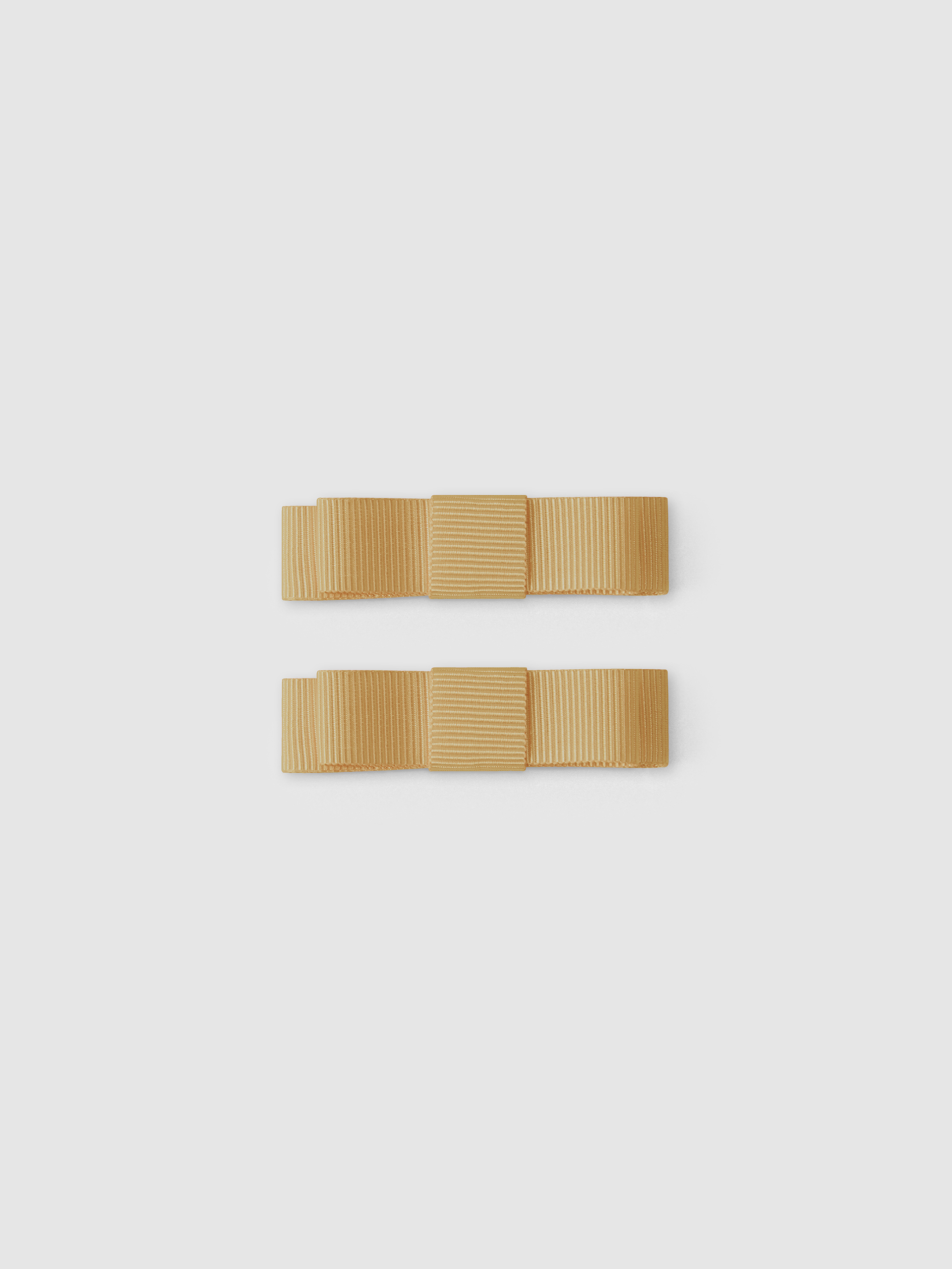 Ensemble de deux barrettes