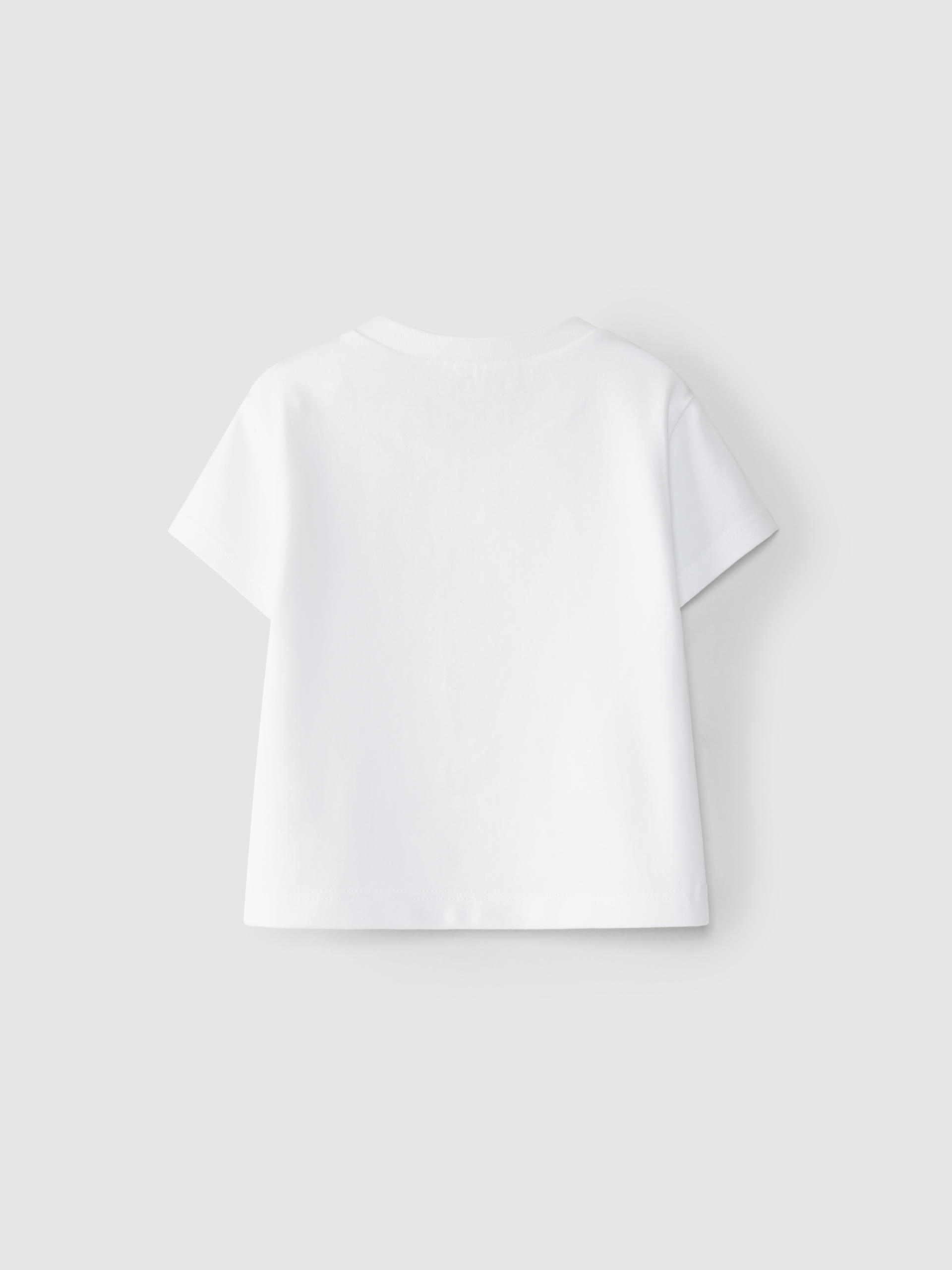 Camiseta