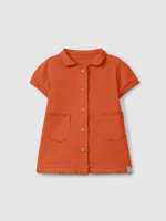 Warm Orange
