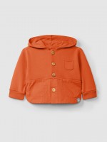 Warm Orange