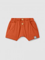 Warm Orange Warm Orange