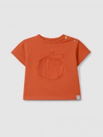 Warm Orange
