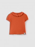 Warm Orange