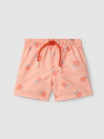 Corail