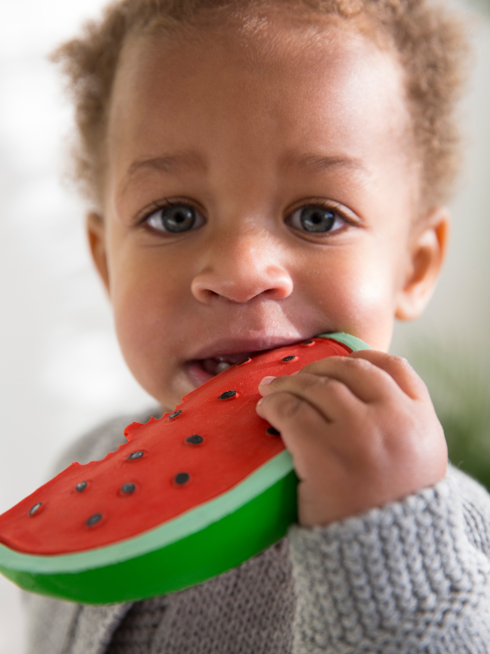 Wally the Watermelon Baby Teether Oli&Carol