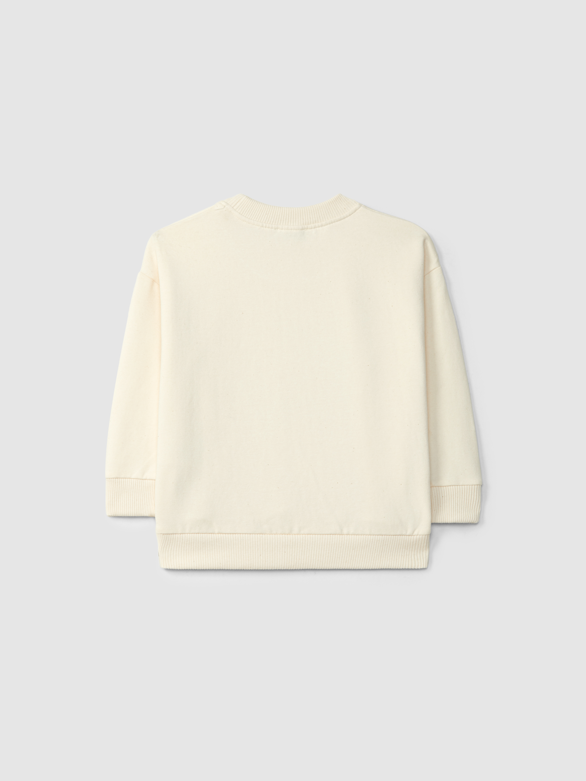 Sweatshirt raposa